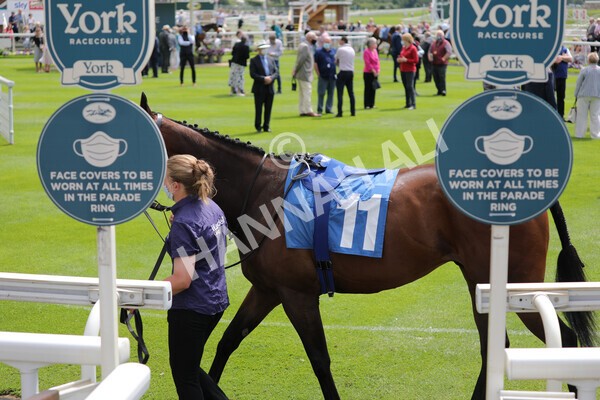 yr11062021r2-1 - Race 2 2.20pm Churchill Tyres Stakes