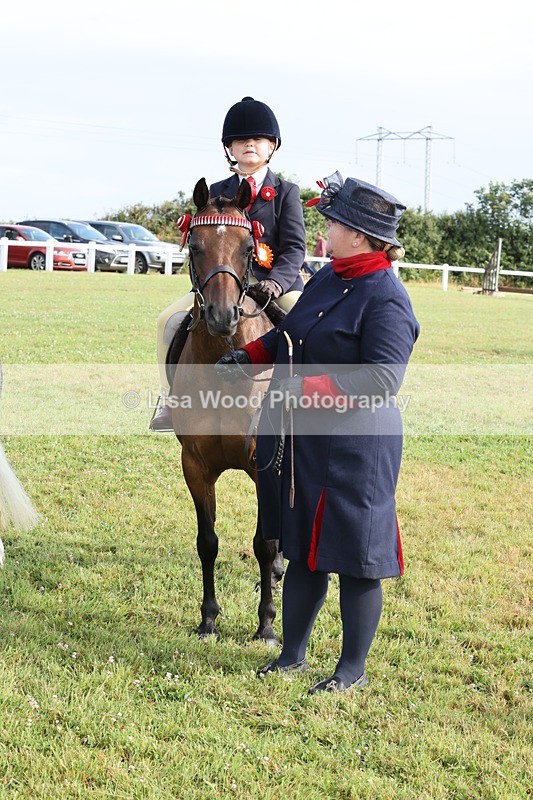 JPP_0471 - Class 14: Cornish Combination Leading Rein