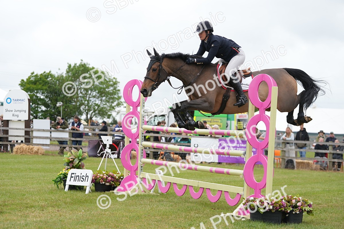 SBM_05236 - Class 201 - British Horse Feeds Speedi Beet Horse of the Year Show Grade  C