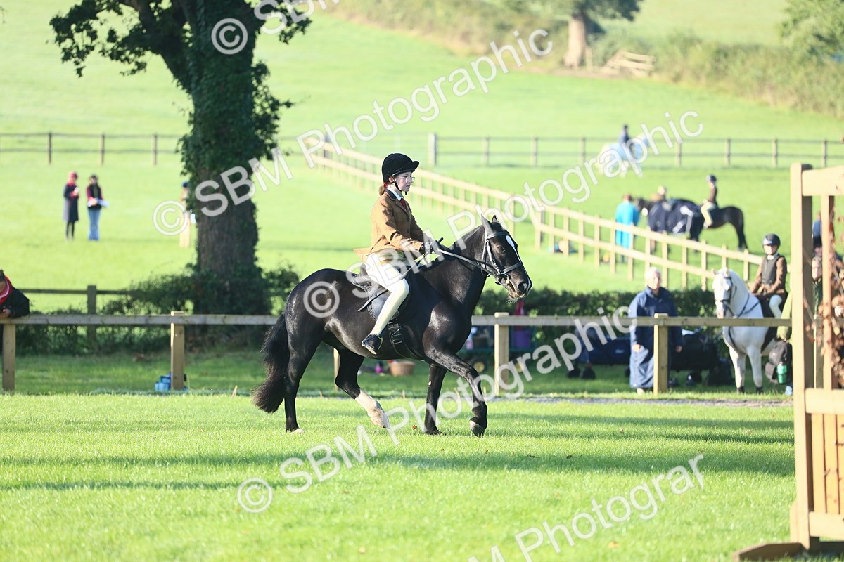 SBM_37344 - S29 - Novice & Newcomers Working Hunter Pony