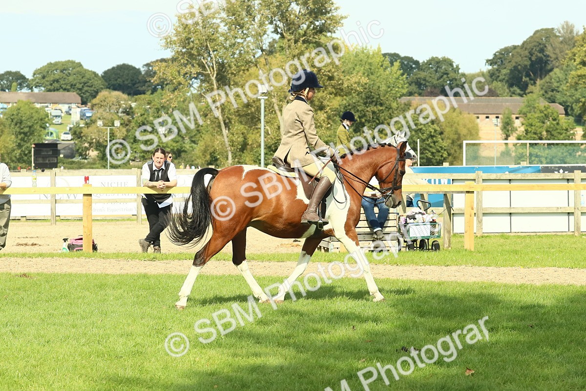 SBM_67482 - S56 - Coloured Pony Ridden