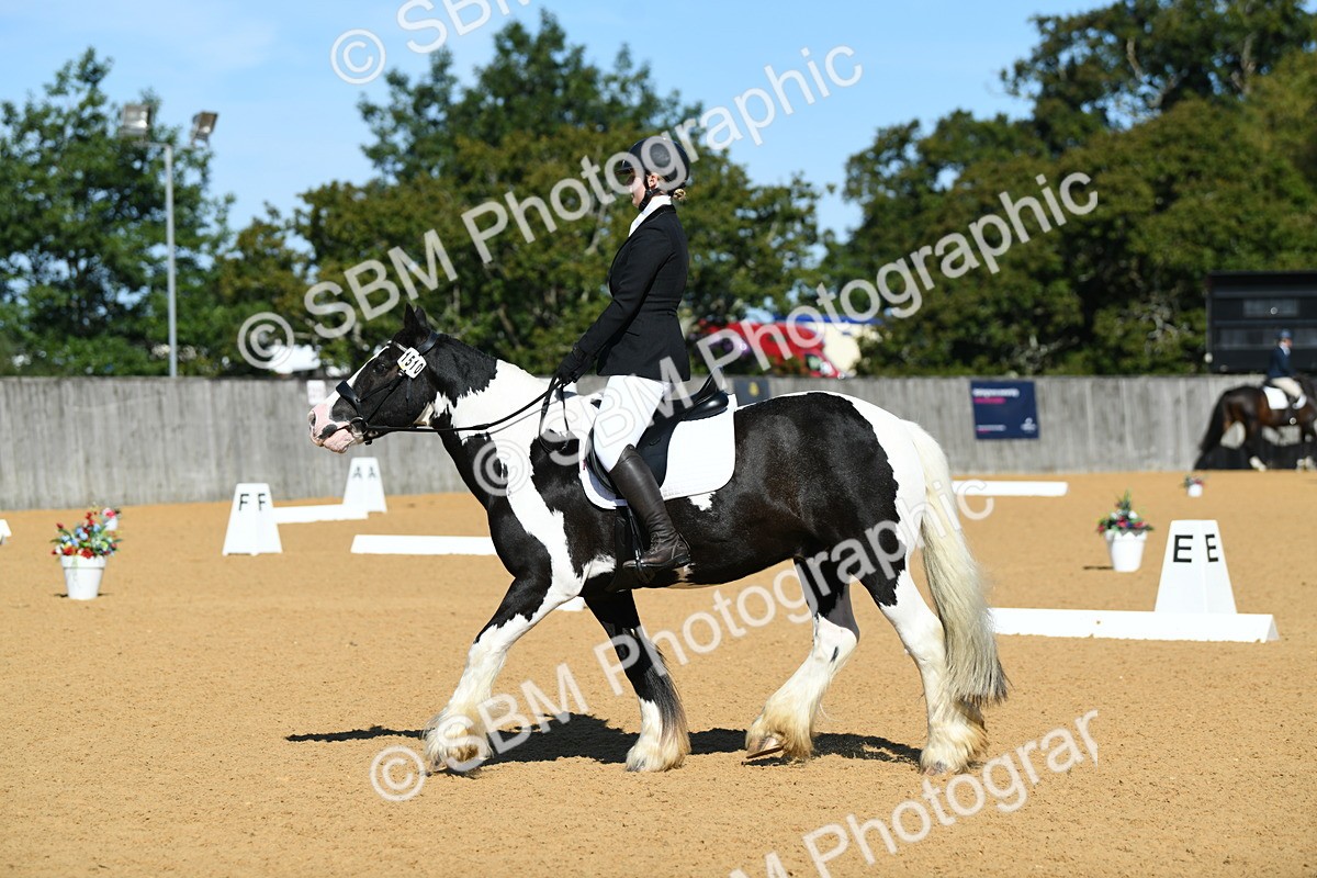 SBM_18225 - D4 - Small Tour Championship - Intro B
