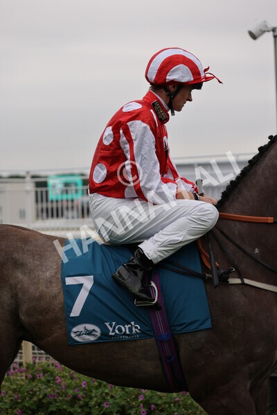 yr22072022r3-34 - Race 3 6.20pm Tomahawk Stakes