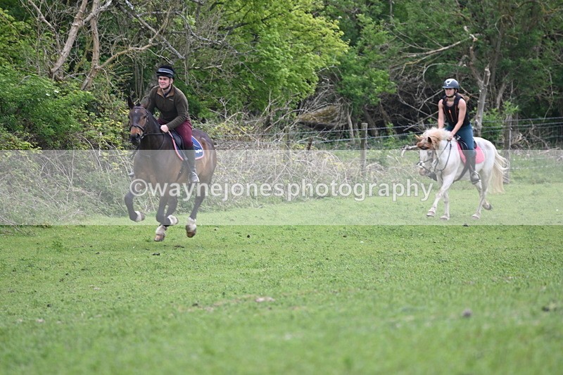 WJ6_3280 - A camera