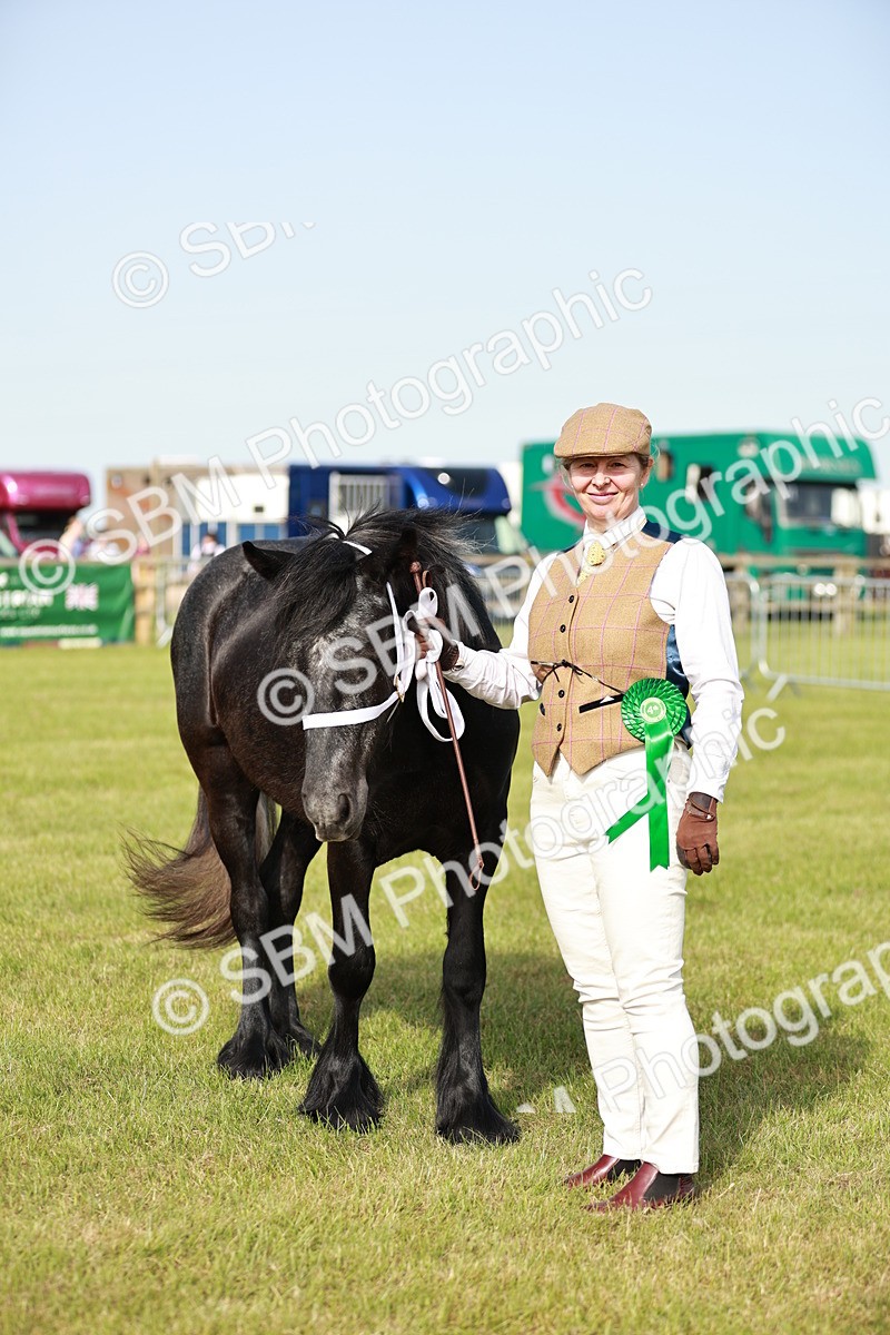 SBM_00774 - Class 14-23 - Mountain & Moorland In Hand Non Welsh