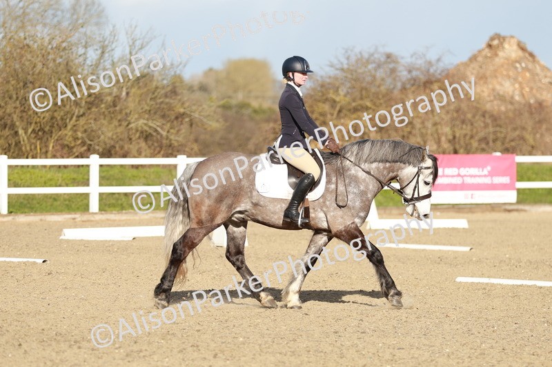 20260314-5412 - DR4 - Prelim 2