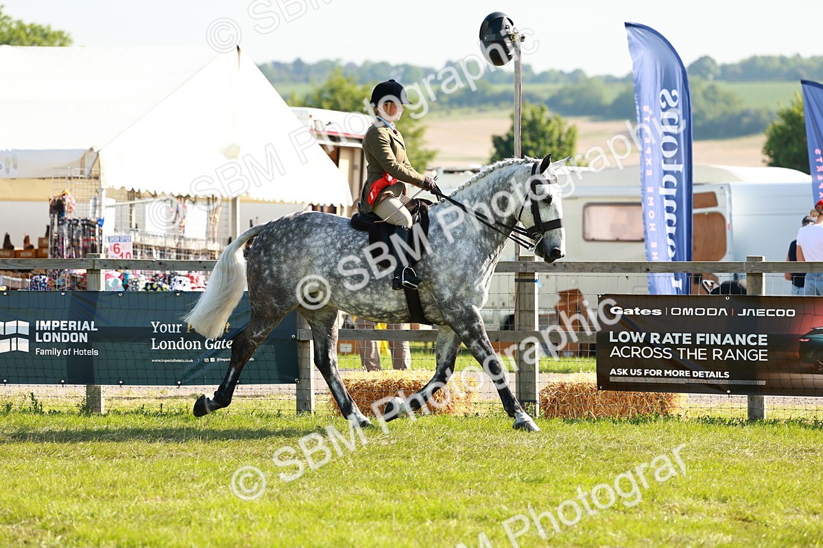 SBM_11880 - Class 66-69 - RIHS Ridden Hunters Inc Small Hunter