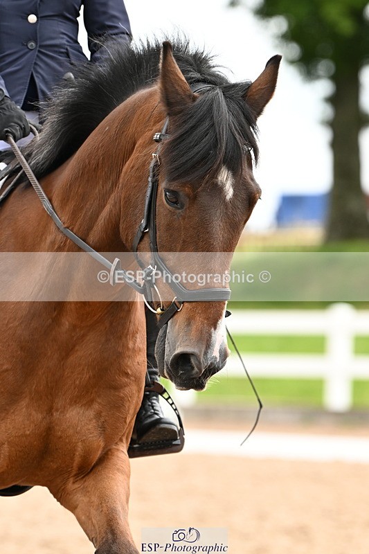 240623A-104421-16801 - Cls 29+30 Quest Prelim 12