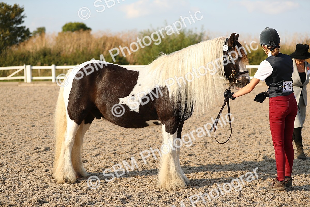 SBM_09074 - Class 29 IH Veteran Pony