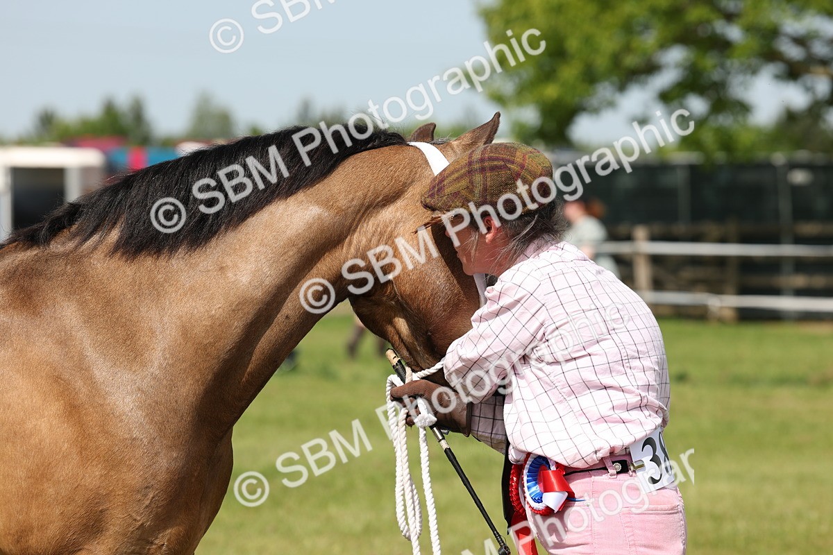 SBM_02419 - Class 6-13 - Mountatin and Moorland In Hand Welsh Breeds