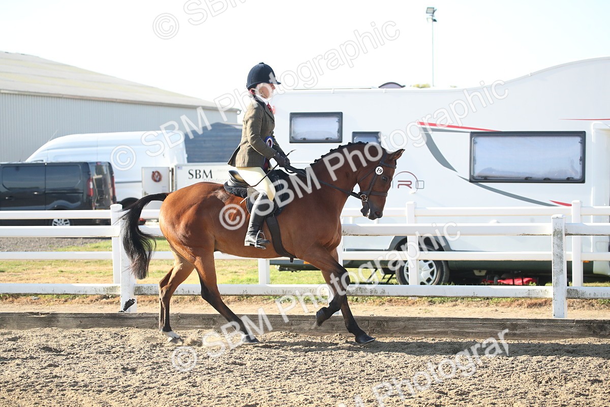 SBM_11601 - Class 502 - Riding Club Horse
