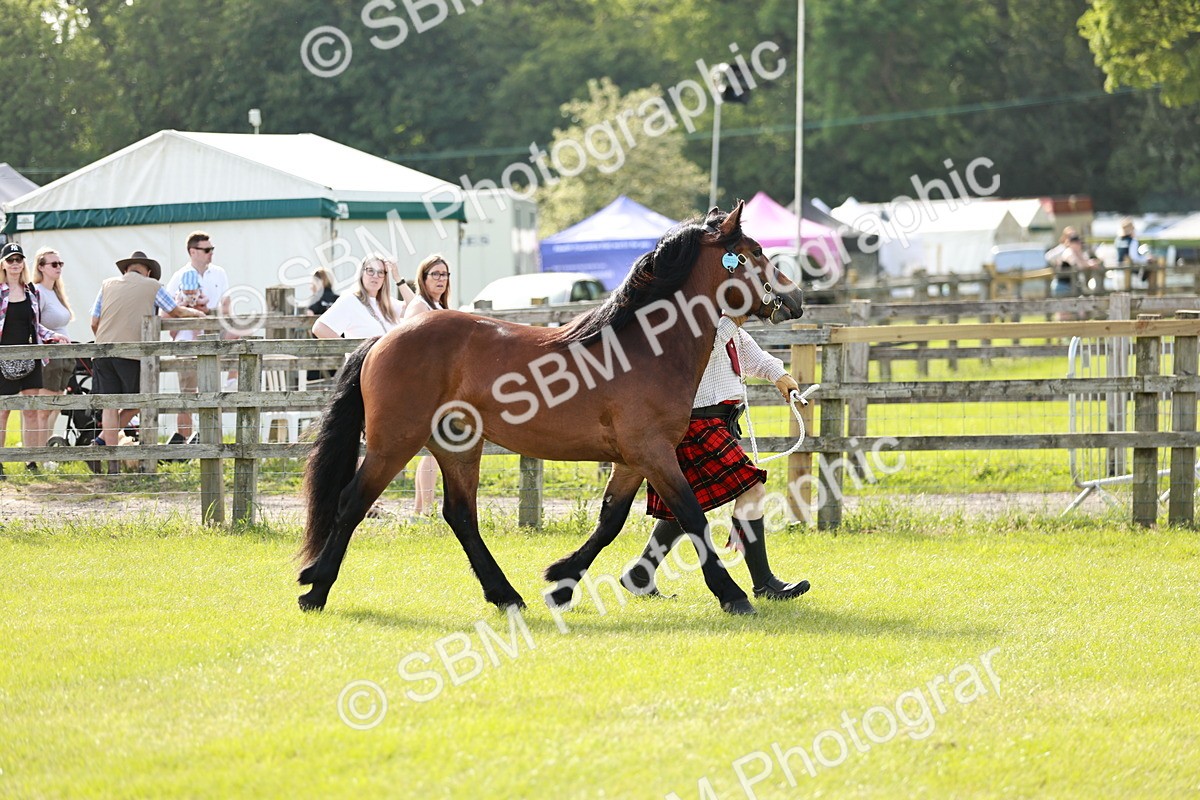 SBM_00680
