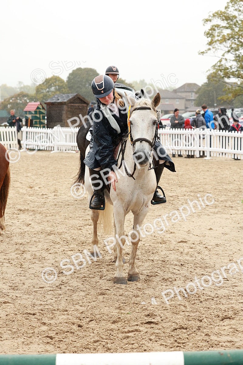 SBM_72301 - J14 - Junior Pony 65cm Championship