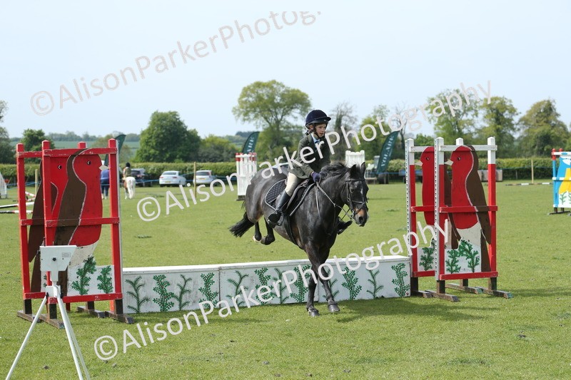 20260426-1762 - Class 14 - Novice 60cm