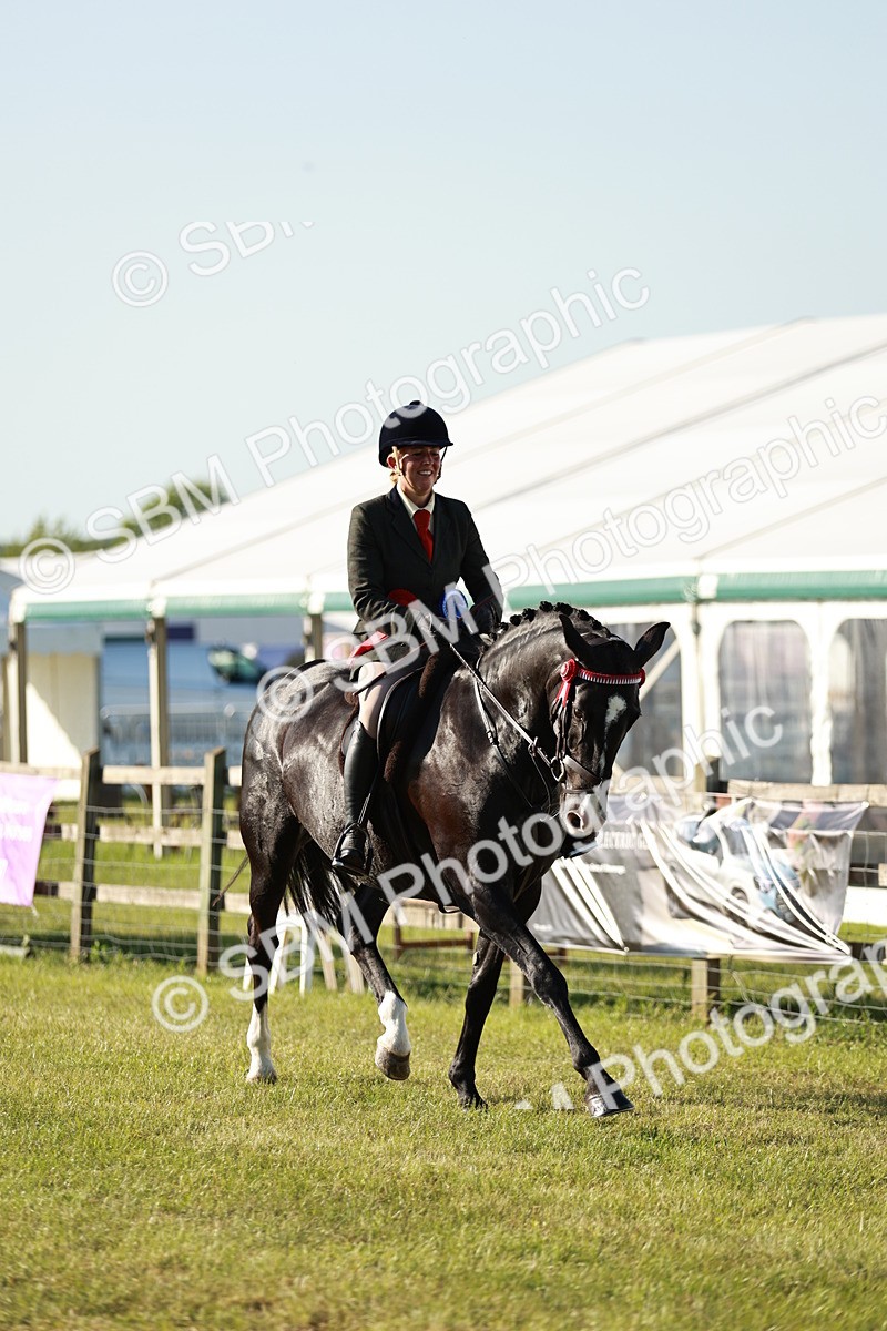 SBM_20138 - Class 115-116 - LIHS BSHA Rising Star Working Hunter & Show Horse
