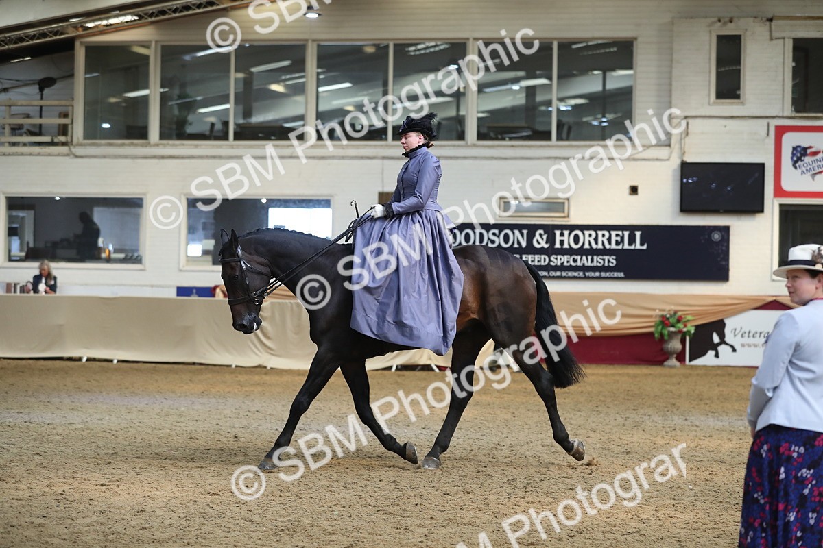 SBM_11580 - Class 105 Ridden Costume- Side Saddle