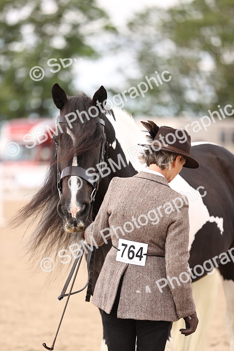 SBM_09302 - Class 404 - IH Traditional - Native Cob