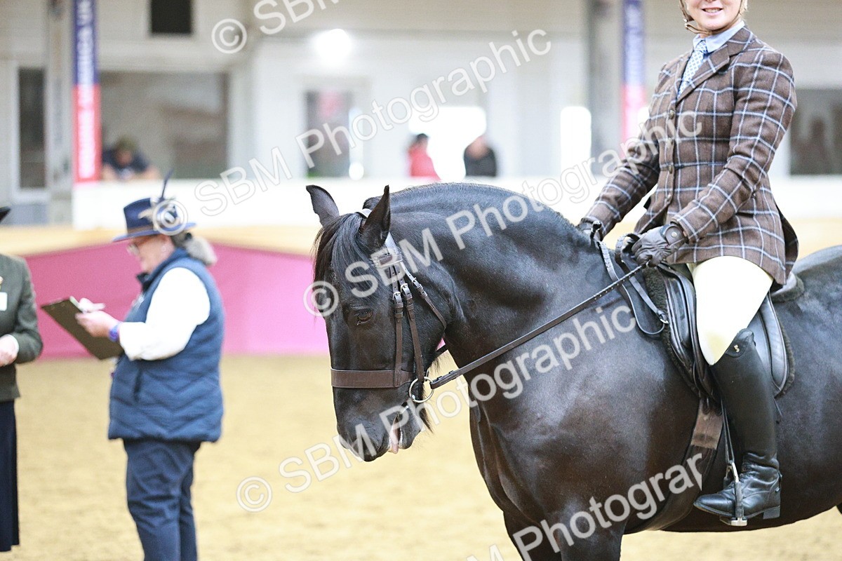 SBM_08876 - Class 12R - Regional Ridden Pre-Vet
