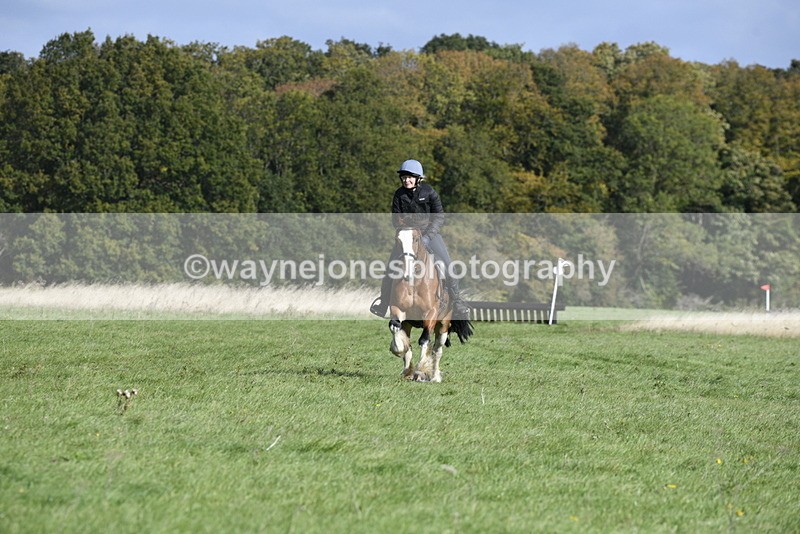 _DSC5670 - Time 10:49 to 11:23