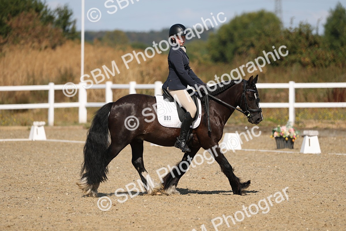 SBM_013525 - Class 1 - P5 Bronze 10.38.12.02