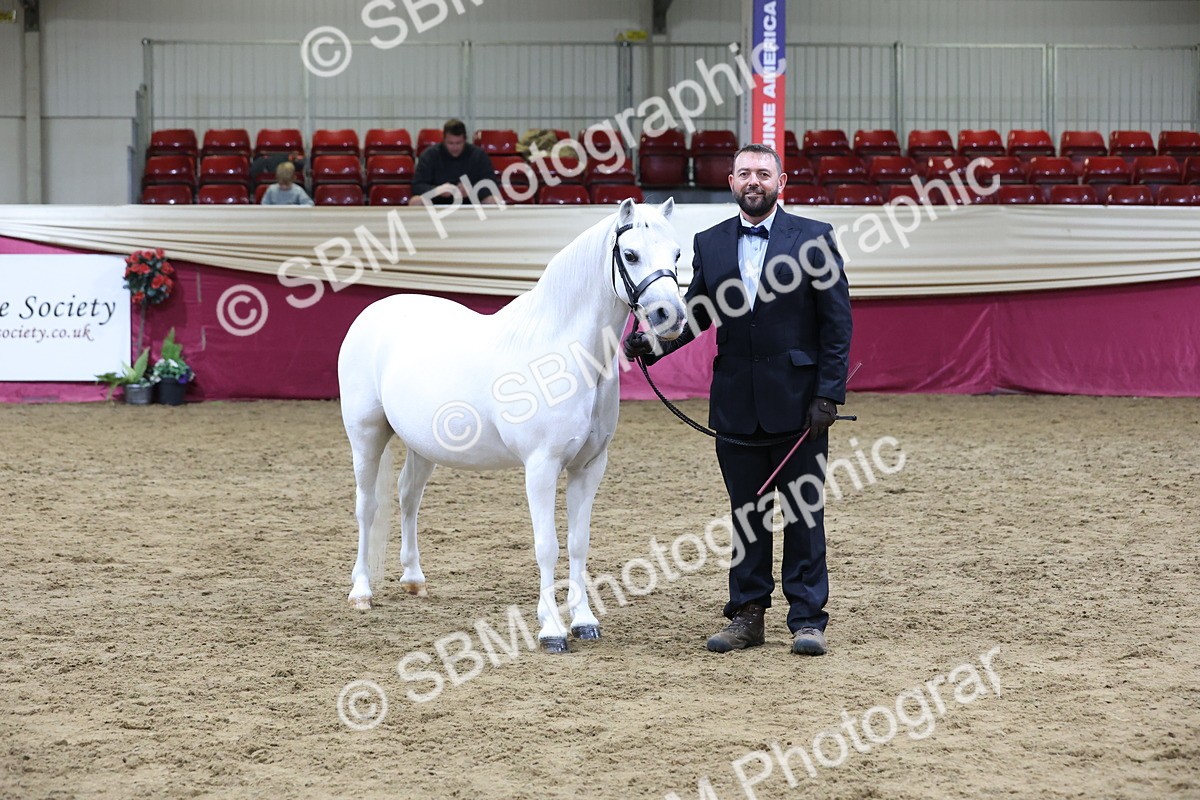 SBM_20376 - Class E - Best Turned Out Champ