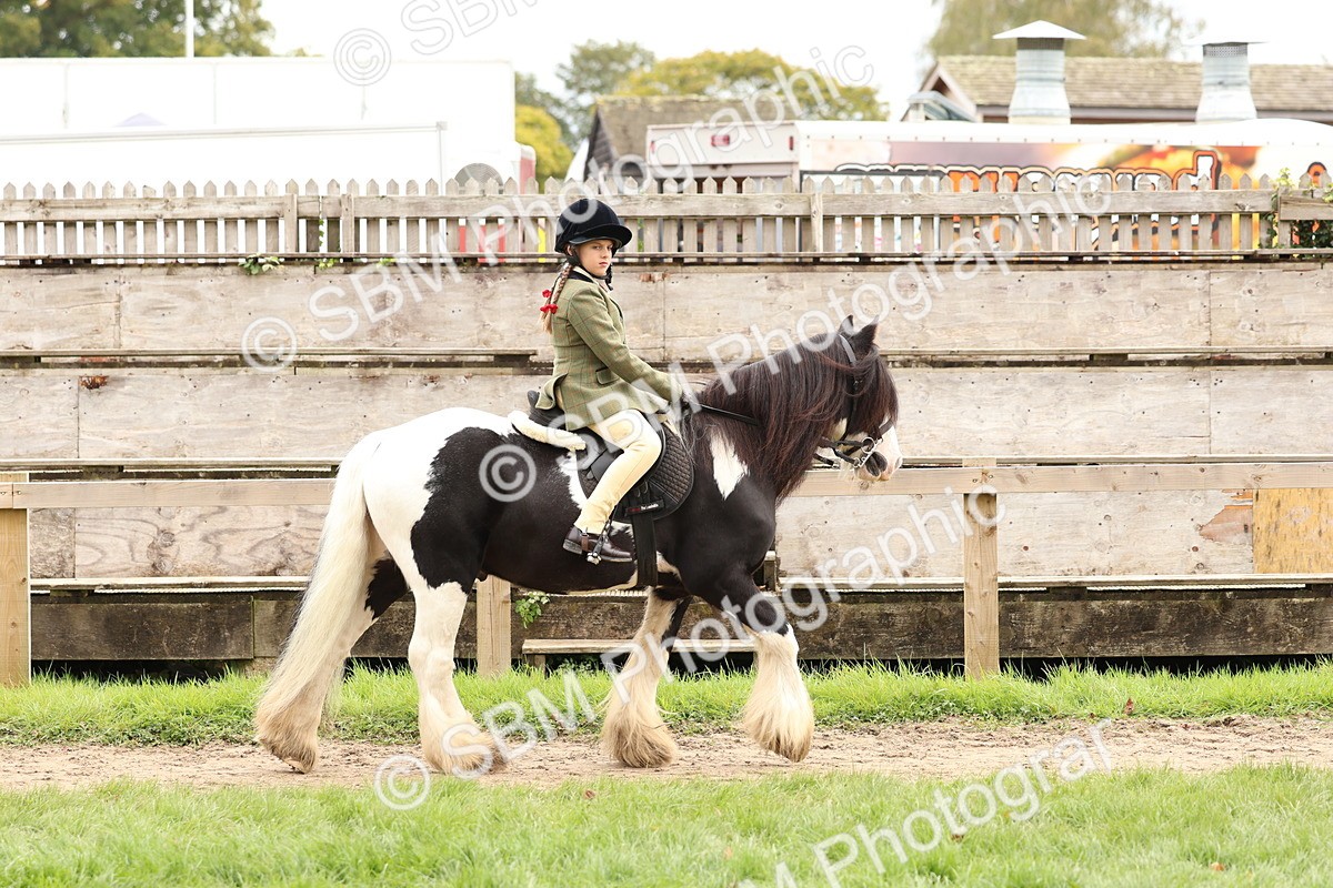 SBM_64379 - S58 - Coloured Pony Ridden