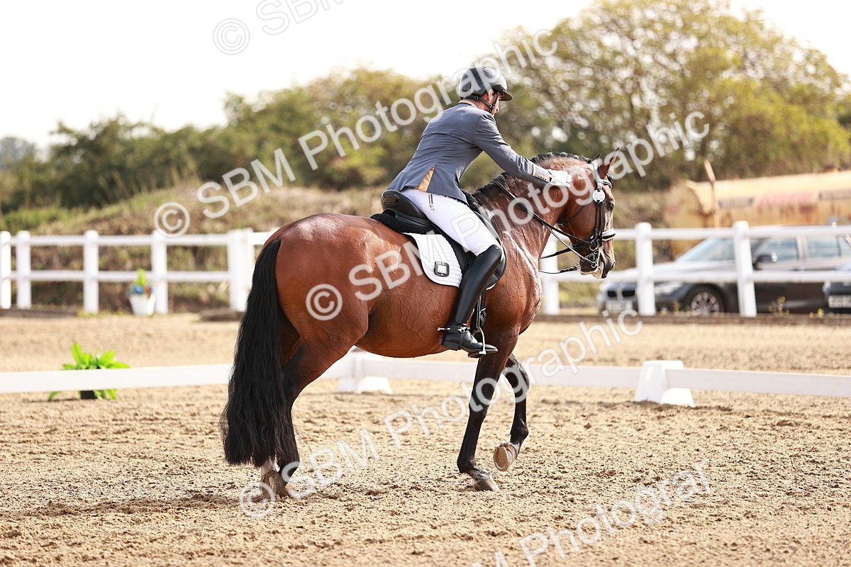 SBM_016980 - Class 10 - Medium 6