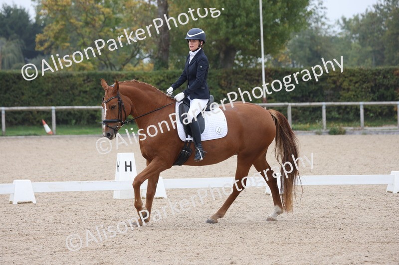 20251012-0666 - Class 5 - Elementary 5