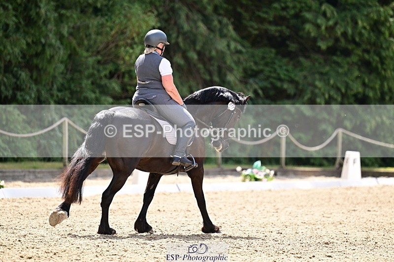 260802A-115541-06008 - Novice Silver break- end