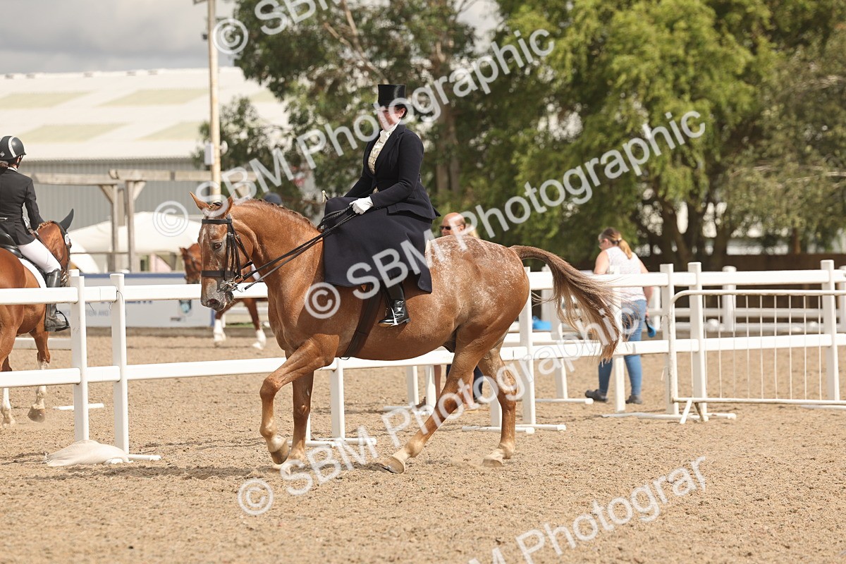 SBM_06363 - Class 22 - SSA - Equitation