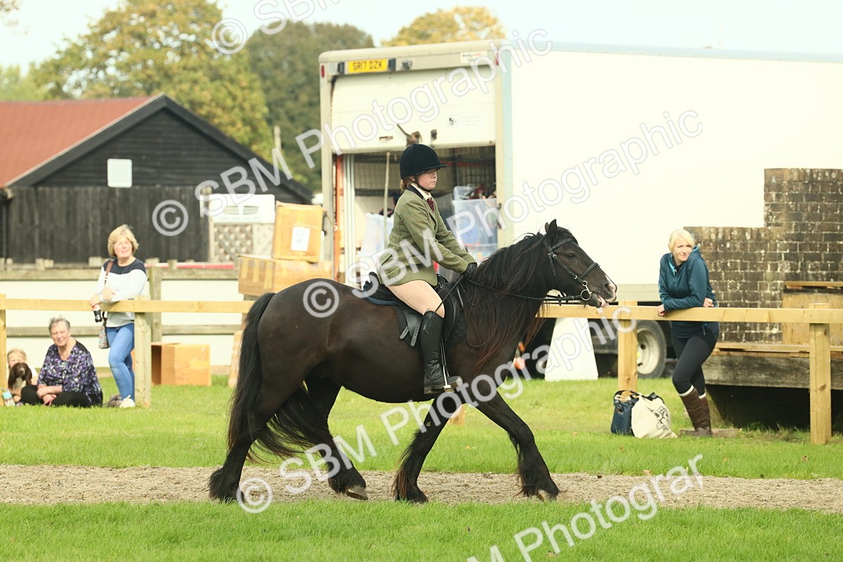 SBM_68203 - S58 - Mini Show Cob Ridden