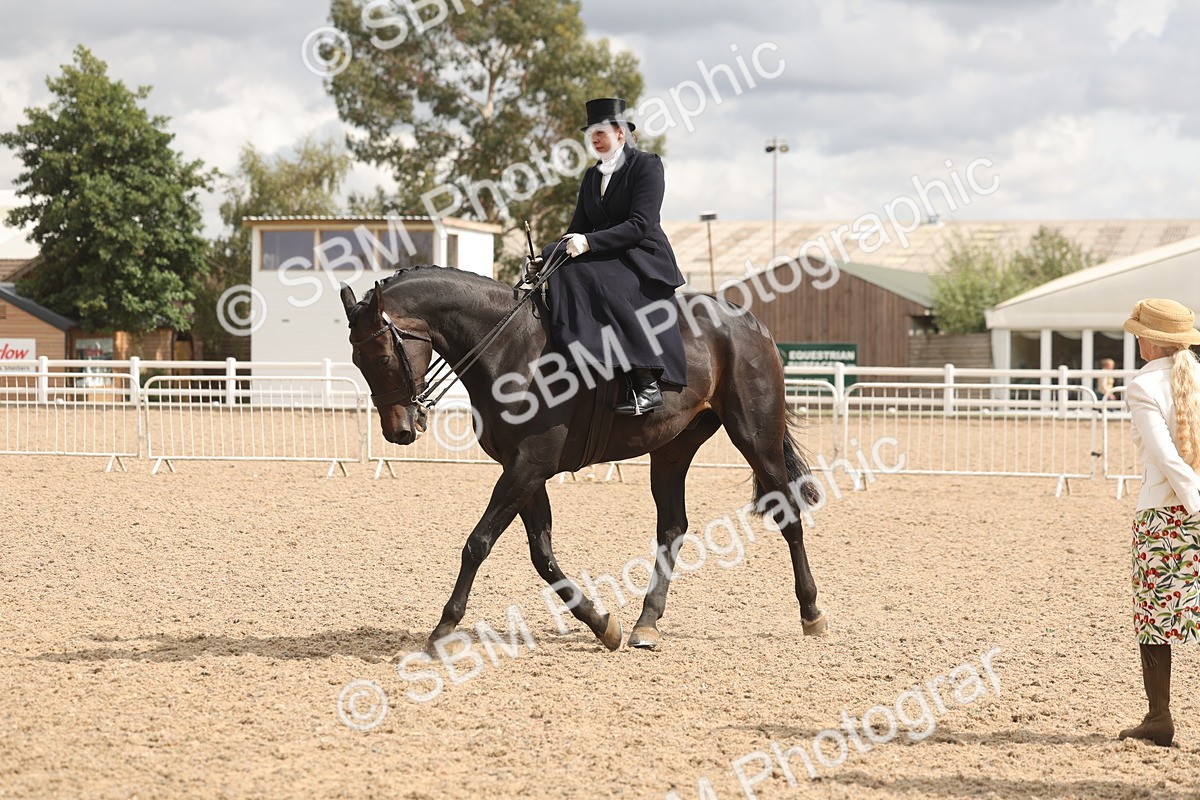 SBM_06348 - Class 22 - SSA - Equitation