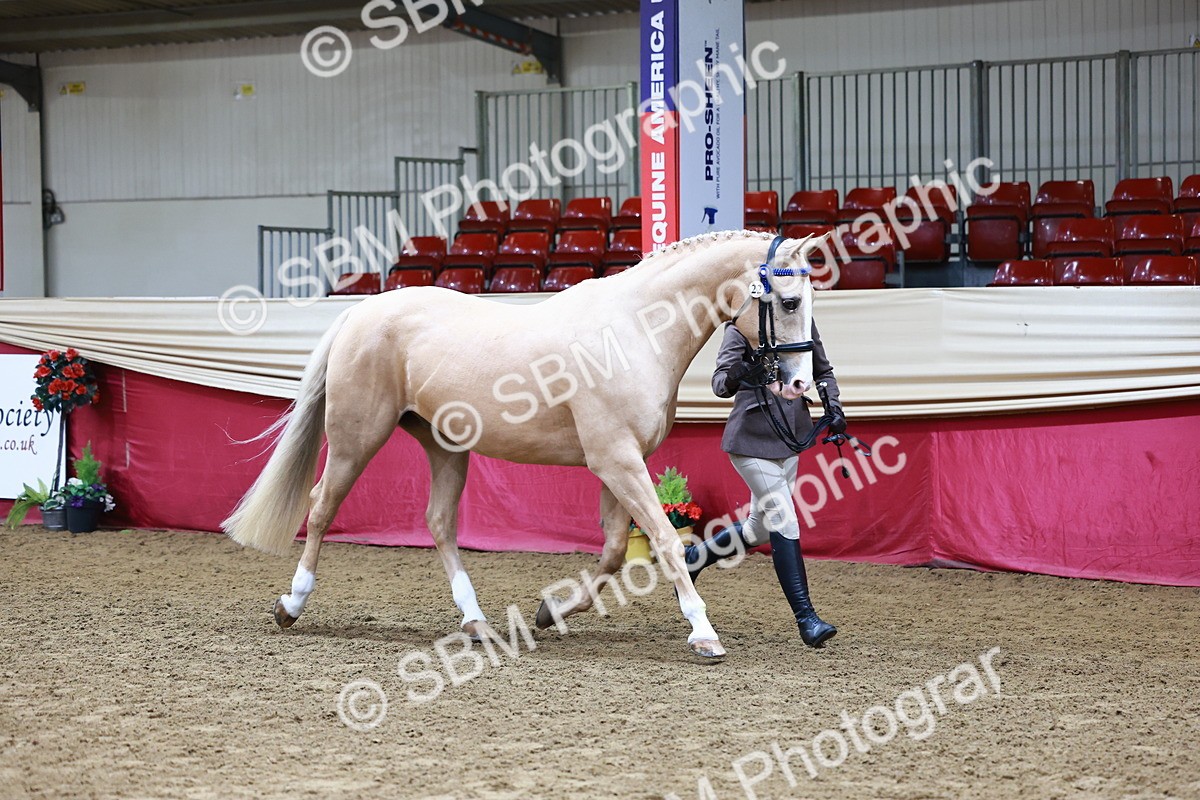 SBM_22130 - Class 902 - Supreme Final - IH Diamond