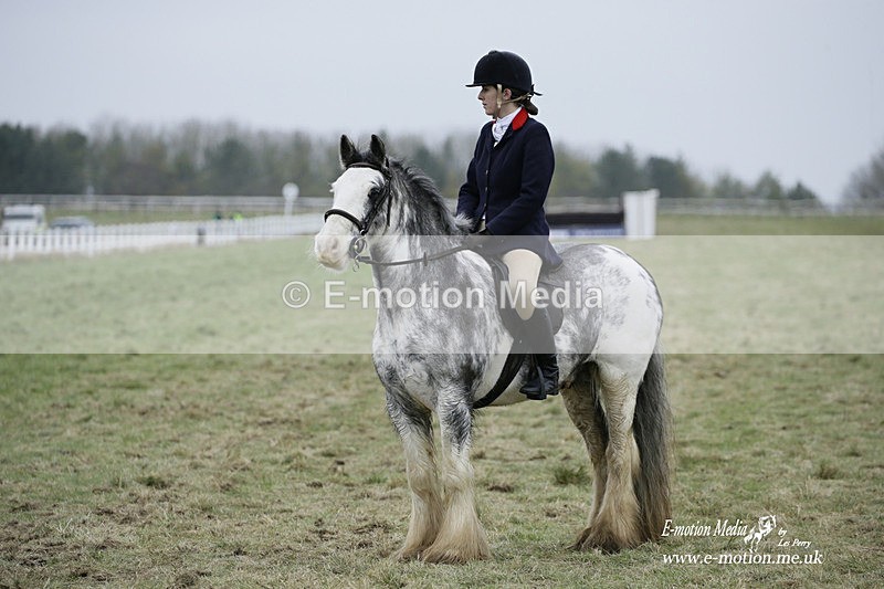 PtP 220122 270 - Royal Artillery Hunt Point-to-Point  - Larkhill Racecourse 22/01/22