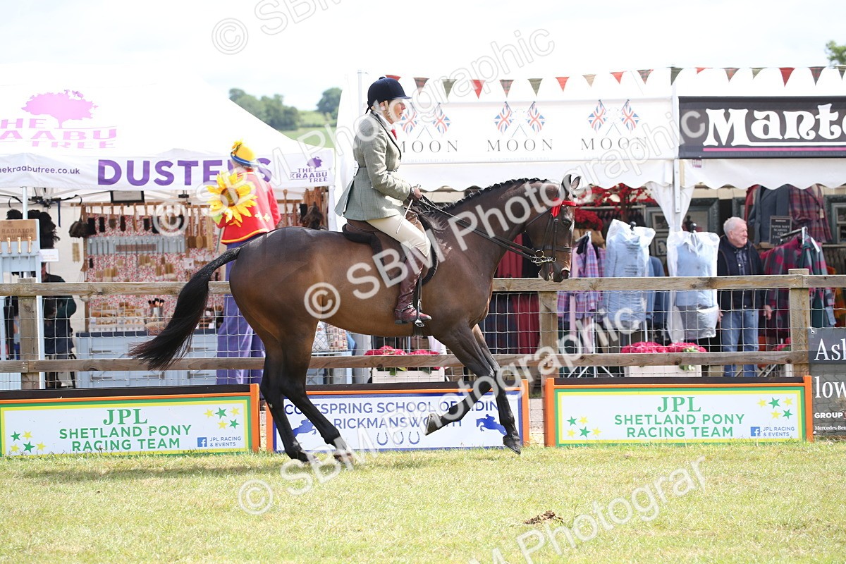 SBM_13217 - Class 95-96 - LIHS BSHA Rising Star Hack Riding Horse
