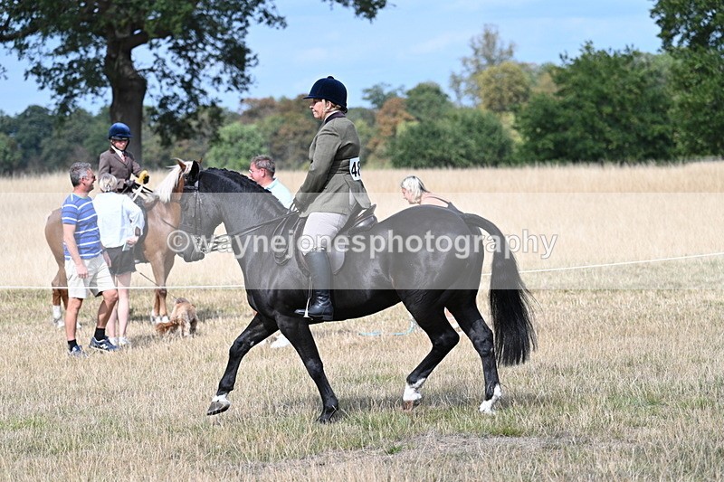 WJ7_5875 - Class 13 Ridden Veterans