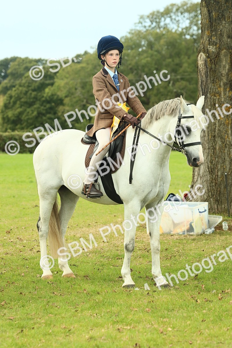 SBM_70050 - S59 - Mountain & Moorland Ridden Small Breeds