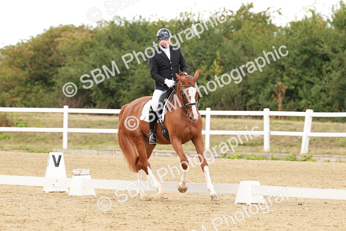 SBM_002023 - Class 8 - Elementary 6