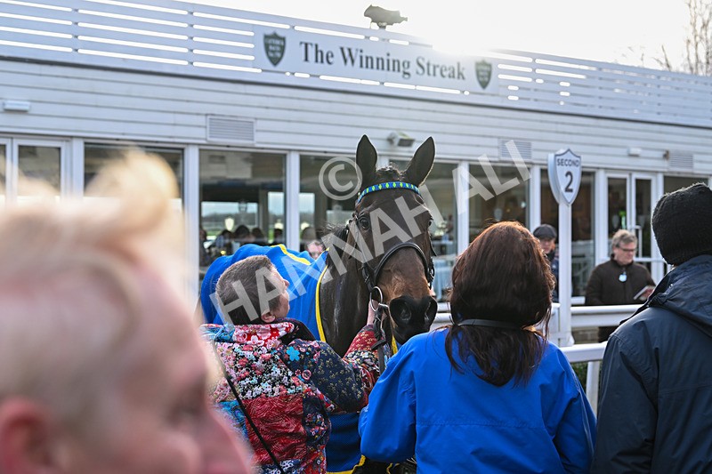 020224-Race 5-Shighness-8658 - Race 5