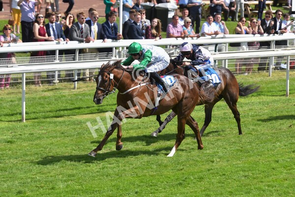 yr11062021r3-30 - Race 3 2.55pm SKF Rous Selling Stakes