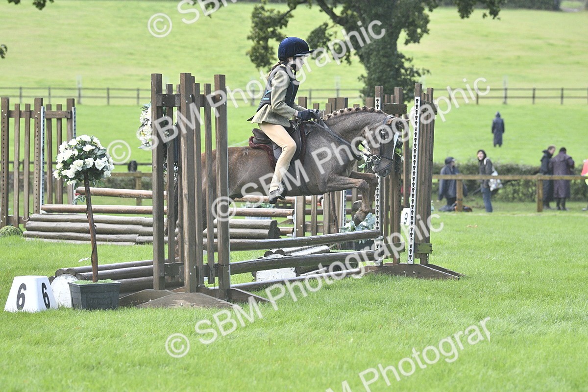 SBM_37197 - S31 - Novice & Newcomer Working Hunter Pony