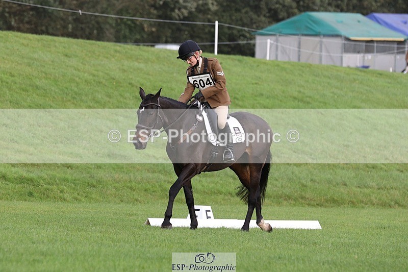 231019-103628-02371 - 604-FURZILEAS.HIDDEN.GEM-Lara.Hails-DR