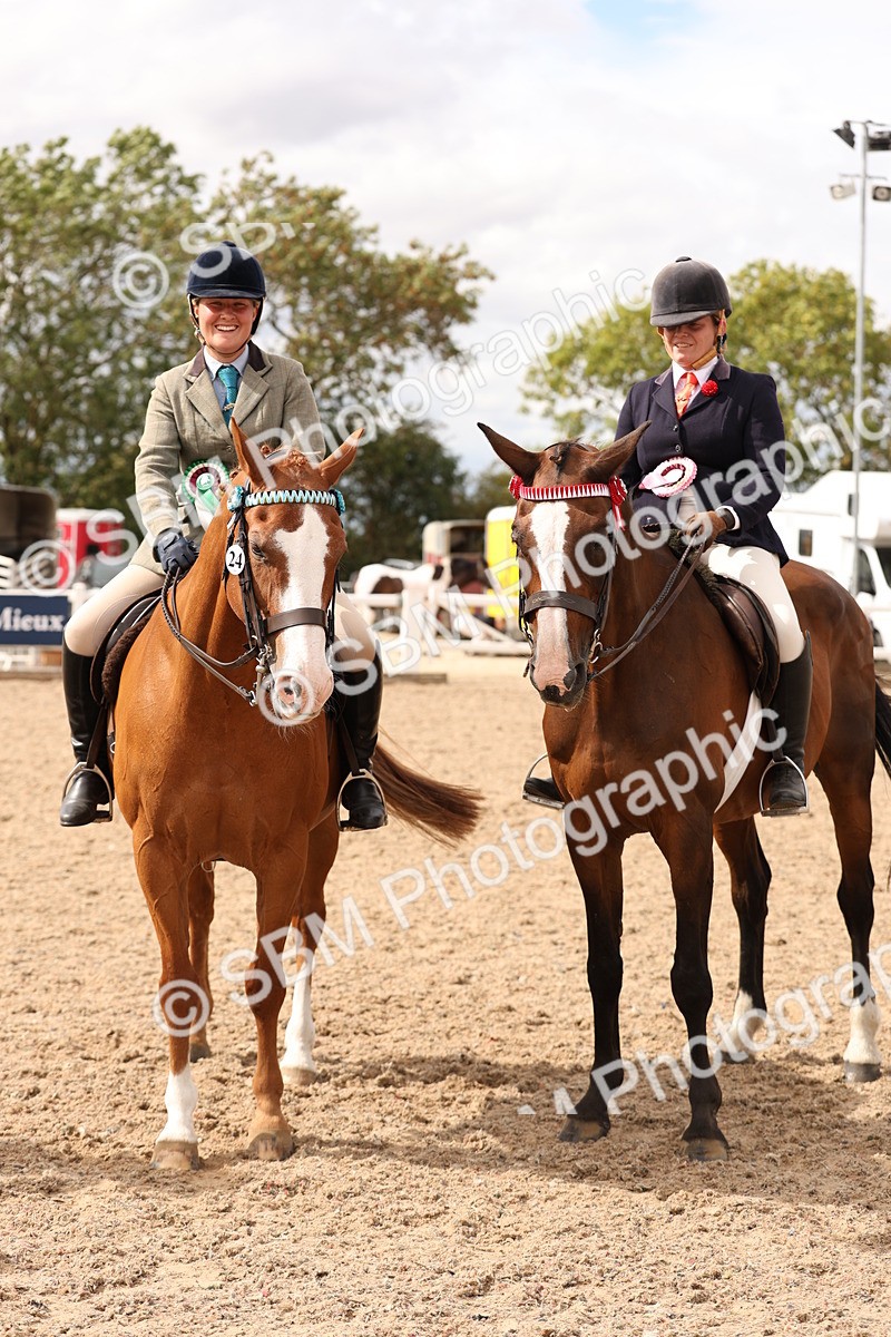 SBM_17383 - Class 214 - Ridden Hack Riding Horse