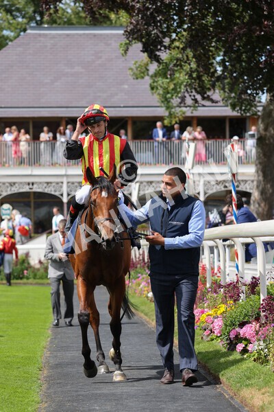 yr08072022r2-38 - Race 2 2.40pm William Hill Summer Stakes