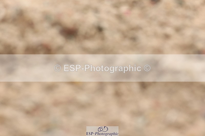 240622A-104644-09368 - Cls 27 BD Novice 37A