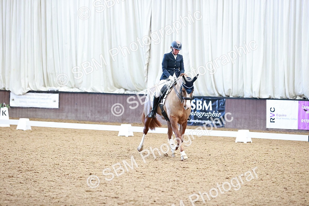 SBM_000462 - Class 7 - Medium 3