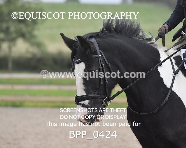 BPP_0424 - MFS PRELIM & NOV