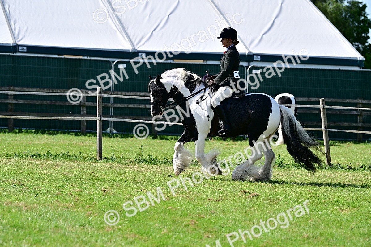 SBM_09324 - Class 63-65 - Traditional Gypsy Cobs In Hand & Ridden