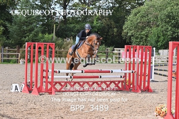 BPP_3489 - CLASS 36 SUN Senior British Novice/ 90cm Open
