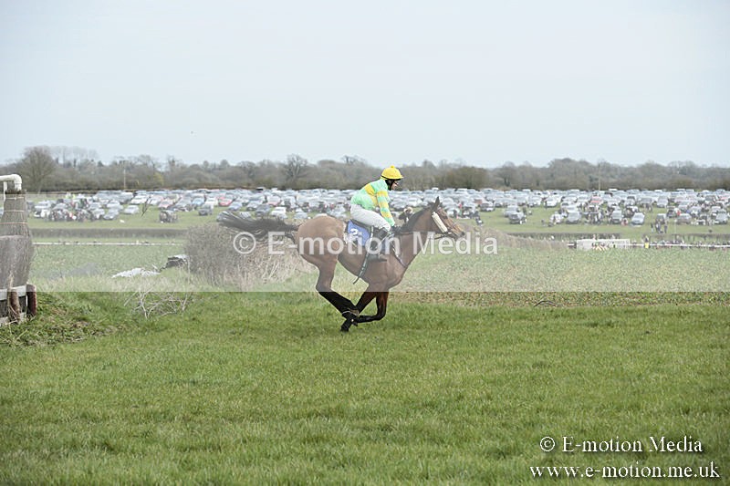 PtP 230319 47 - VWH Hunt Siddington Point-to-Point Racing 23/03/19